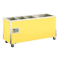 Hot & Cold Serving Counter